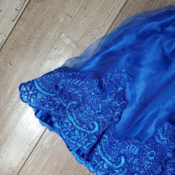Beautiful Baby Girl Sapphire Blue V-Neck Lace Tulle Party Dress Size 12m - Picture 4 of 12